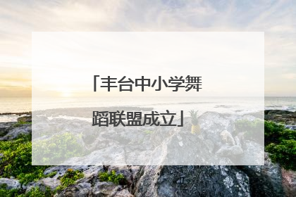 丰台中小学舞蹈联盟成立