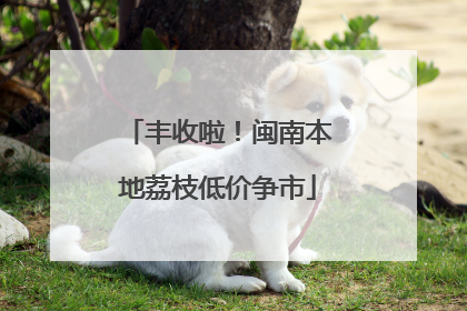 丰收啦！闽南本地荔枝低价争市
