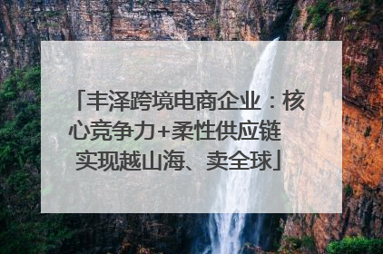 丰泽跨境电商企业：核心竞争力+柔性供应链 实现越山海、卖全球