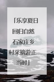 乐享夏日 回归自然 石家庄乡村采摘游正当时