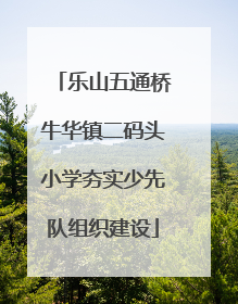 乐山五通桥牛华镇二码头小学夯实少先队组织建设