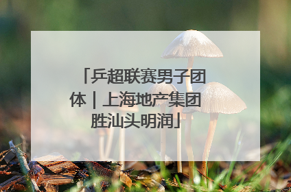 乒超联赛男子团体｜上海地产集团胜汕头明润