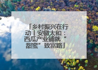 乡村振兴在行动丨安徽太和：西瓜产业铺就“甜蜜”致富路