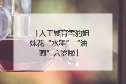 人工繁育雪豹姐妹花“水墨”“油画”六岁啦