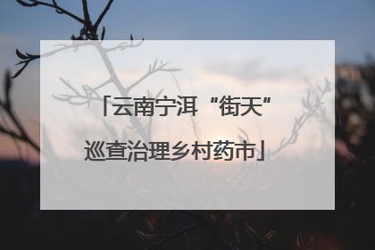 云南宁洱“街天”巡查治理乡村药市