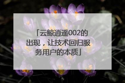云鲸逍遥002的出现，让技术回归服务用户的本质