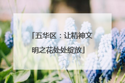 五华区：让精神文明之花处处绽放