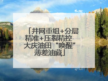井网重组+分层精准+压裂精控 大庆油田“唤醒”薄差油藏