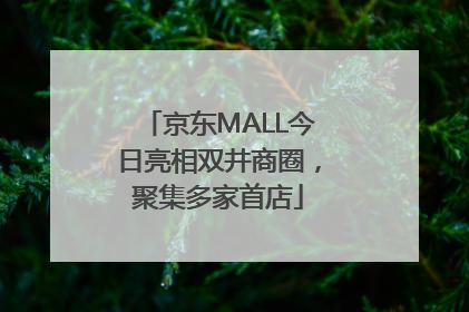 京东MALL今日亮相双井商圈，聚集多家首店