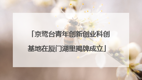 京鹭台青年创新创业科创基地在厦门湖里揭牌成立