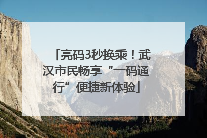 亮码3秒换乘！武汉市民畅享“一码通行”便捷新体验