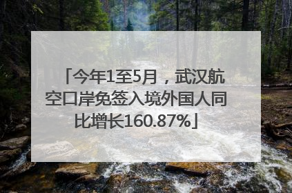 今年1至5月，武汉航空口岸免签入境外国人同比增长160.87%