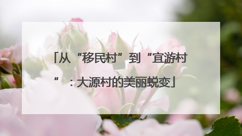从“移民村”到“宜游村”：大源村的美丽蜕变