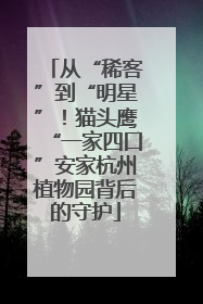从“稀客”到“明星”！猫头鹰“一家四口”安家杭州植物园背后的守护