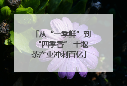 从“一季鲜”到“四季香” 十堰茶产业冲刺百亿