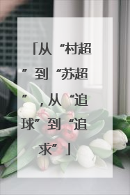 从“村超”到“苏超”，从“追球”到“追求”