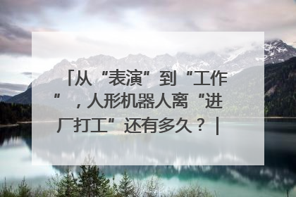 从“表演”到“工作”，人形机器人离“进厂打工”还有多久？｜机器人商业新纪元