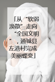 从“软弱涣散”走向“全国文明”，通城县左港村完成美丽蝶变