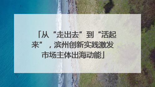 从“走出去”到“活起来”，滨州创新实践激发市场主体出海动能