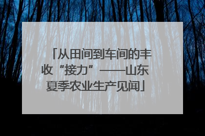 从田间到车间的丰收“接力”——山东夏季农业生产见闻