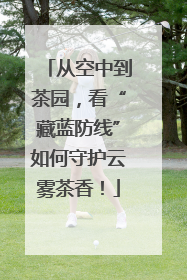 从空中到茶园，看“藏蓝防线”如何守护云雾茶香！