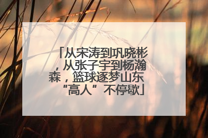 从宋涛到巩晓彬，从张子宇到杨瀚森，篮球逐梦山东“高人”不停歇