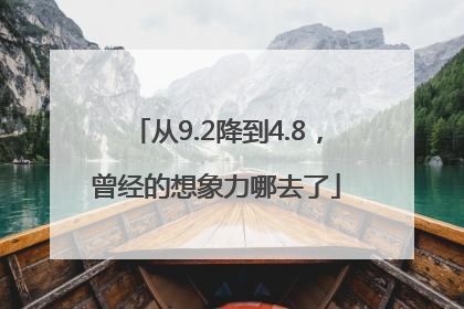 从9.2降到4.8，曾经的想象力哪去了