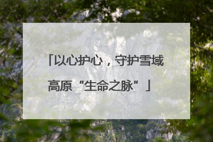 以心护心，守护雪域高原“生命之脉”