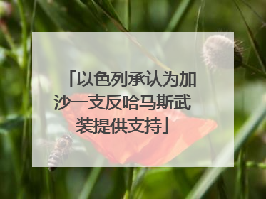 以色列承认为加沙一支反哈马斯武装提供支持