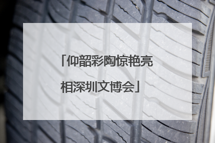 仰韶彩陶惊艳亮相深圳文博会