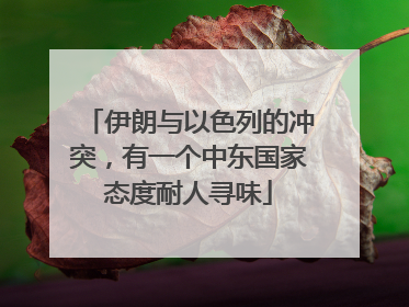 伊朗与以色列的冲突，有一个中东国家态度耐人寻味