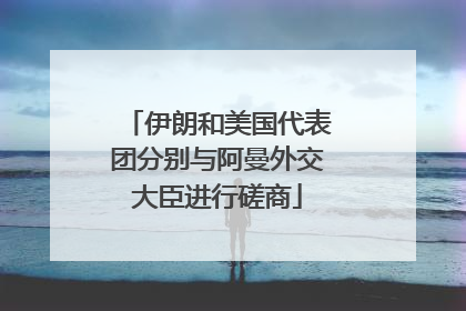 伊朗和美国代表团分别与阿曼外交大臣进行磋商