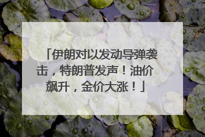 伊朗对以发动导弹袭击，特朗普发声！油价飙升，金价大涨！