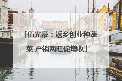 伍光豪：返乡创业种蔬菜 产销两旺促增收