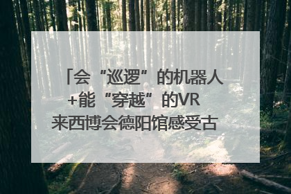 会“巡逻”的机器人+能“穿越”的VR 来西博会德阳馆感受古蜀文明与现代智造的时空对话｜西博视界