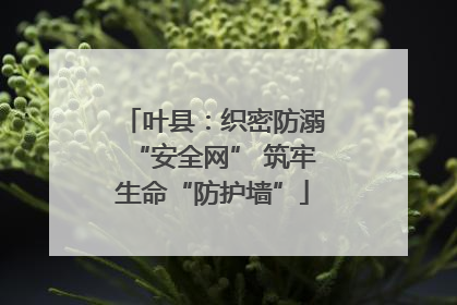 叶县：织密防溺“安全网” 筑牢生命“防护墙”