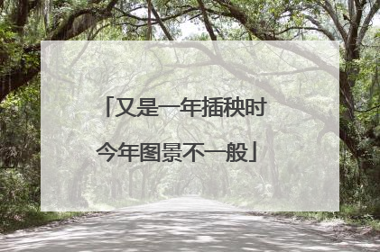 又是一年插秧时 今年图景不一般