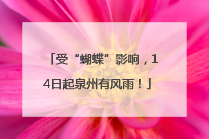 受“蝴蝶”影响，14日起泉州有风雨！