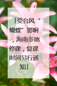 受台风“蝴蝶”影响，海南多地停课，复课时间另行通知