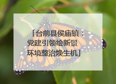 台前县侯庙镇：党建引领绘新景 环境整治焕生机
