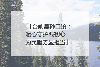 台前县孙口镇：暖心守护践初心 为民服务显担当