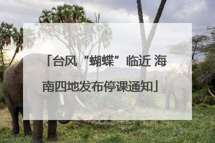 台风“蝴蝶”临近 海南四地发布停课通知