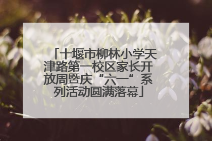 十堰市柳林小学天津路第一校区家长开放周暨庆“六一”系列活动圆满落幕