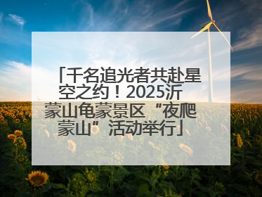 千名追光者共赴星空之约！2025沂蒙山龟蒙景区“夜爬蒙山”活动举行