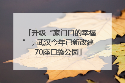 升级“家门口的幸福”，武汉今年已新改建70座口袋公园