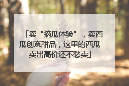 卖“摘瓜体验”，卖西瓜创意甜品，这里的西瓜卖出高价还不愁卖