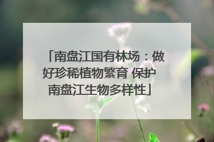 南盘江国有林场：做好珍稀植物繁育 保护南盘江生物多样性