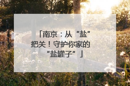 南京：从“盐”把关！守护你家的“盐罐子”