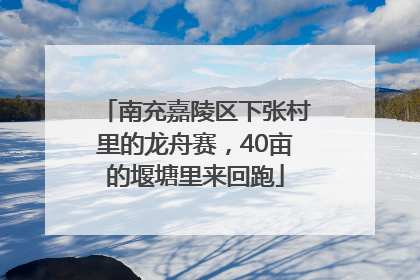 南充嘉陵区下张村里的龙舟赛，40亩的堰塘里来回跑