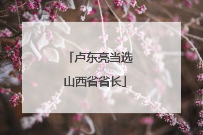 卢东亮当选山西省省长